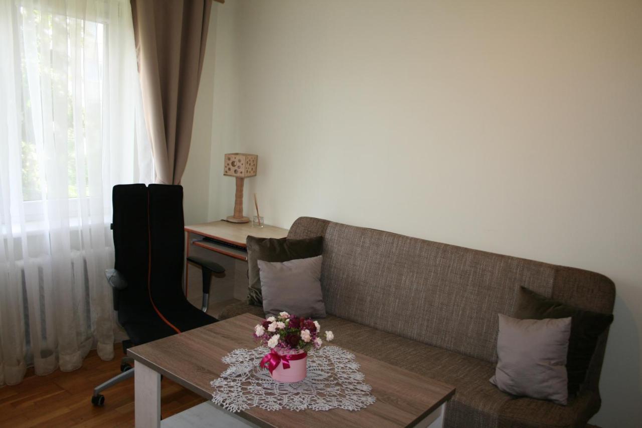 Cosy One Room Apartment Vilnius Exterior photo
